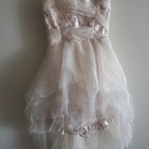 Formal Dress Gown - Picture 4 of 7